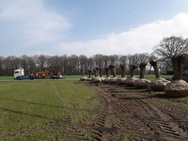 Grote verplantingsmachine